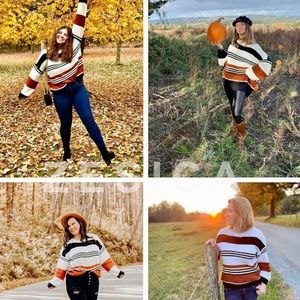 NWOT - Chunky Fall Sweater - L (Zesica)